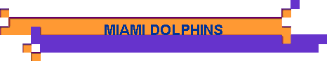  MIAMI DOLPHINS 